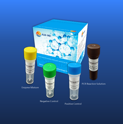 新的冠状病毒Covid-19核酸检测试剂盒（荧光RT-PCR方法）